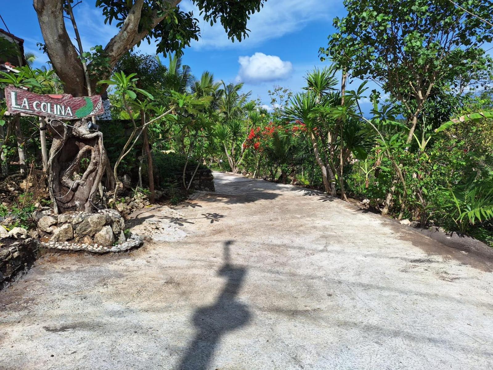 La Colina Bungalow Ped エクステリア 写真